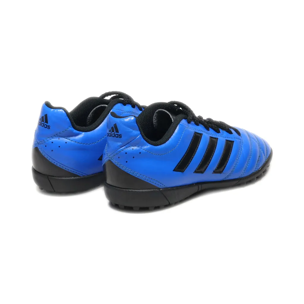 Adidas Performance Goletto V Tf Sport Shoes Leather Blue Colour For Women