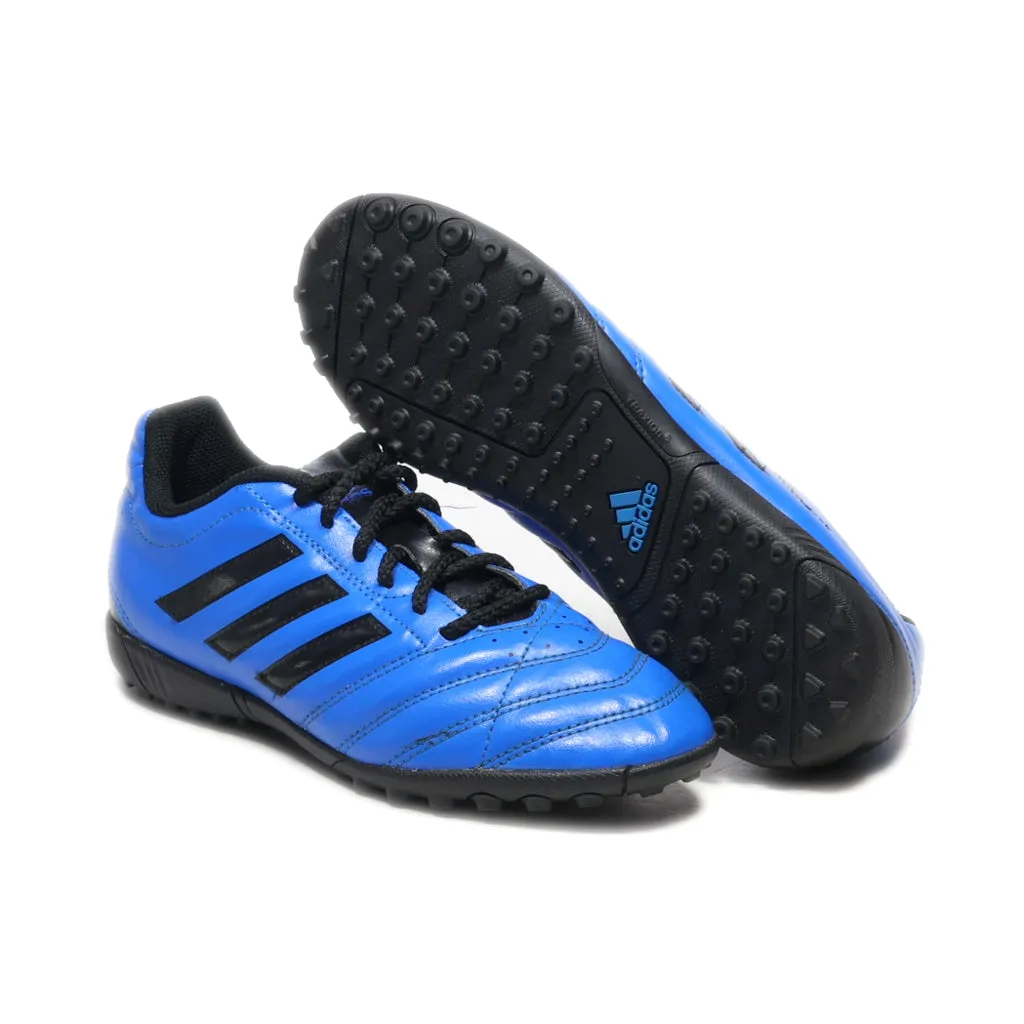 Adidas Performance Goletto V Tf Sport Shoes Leather Blue Colour For Women