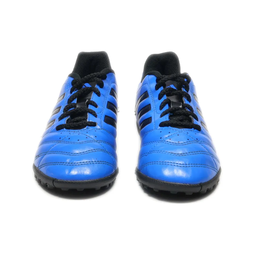 Adidas Performance Goletto V Tf Sport Shoes Leather Blue Colour For Women