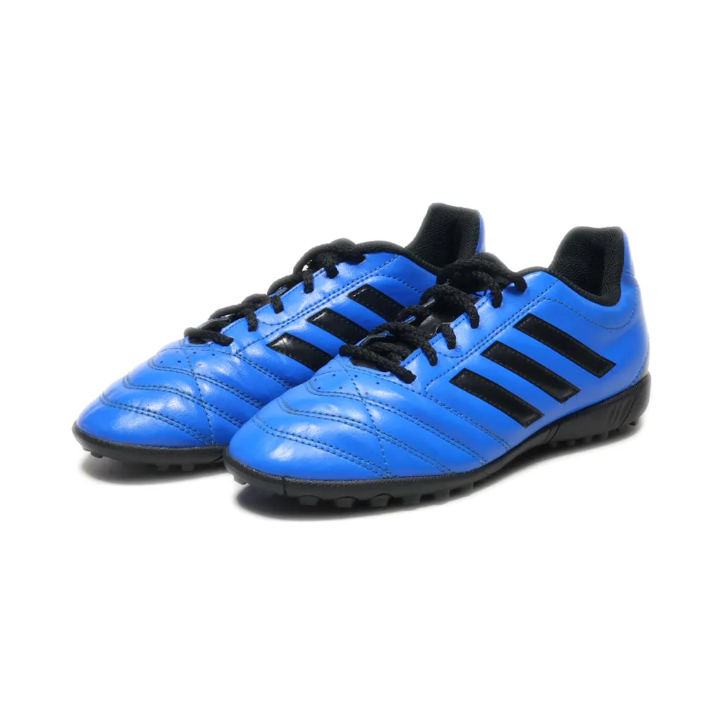 Adidas Performance Goletto V Tf Sport Shoes Leather Blue Colour For Women